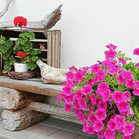 曼努埃尔公寓 迈尔霍芬