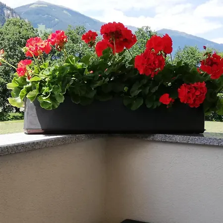 公寓 曼努埃尔公寓 *