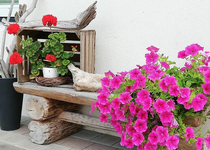 Manuel مايرهوفن